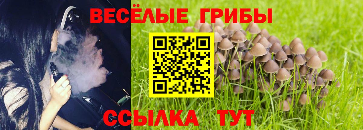Галлюциногенные грибы ЛСД Ялта